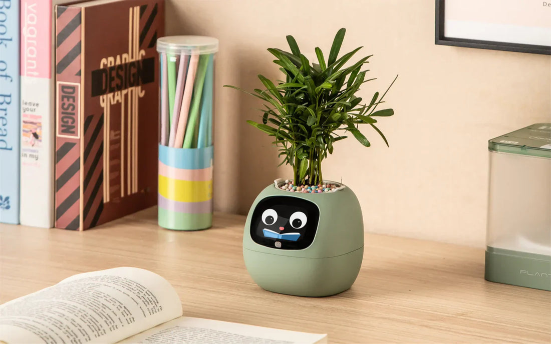 How to Keep Your Plants Alive While Traveling