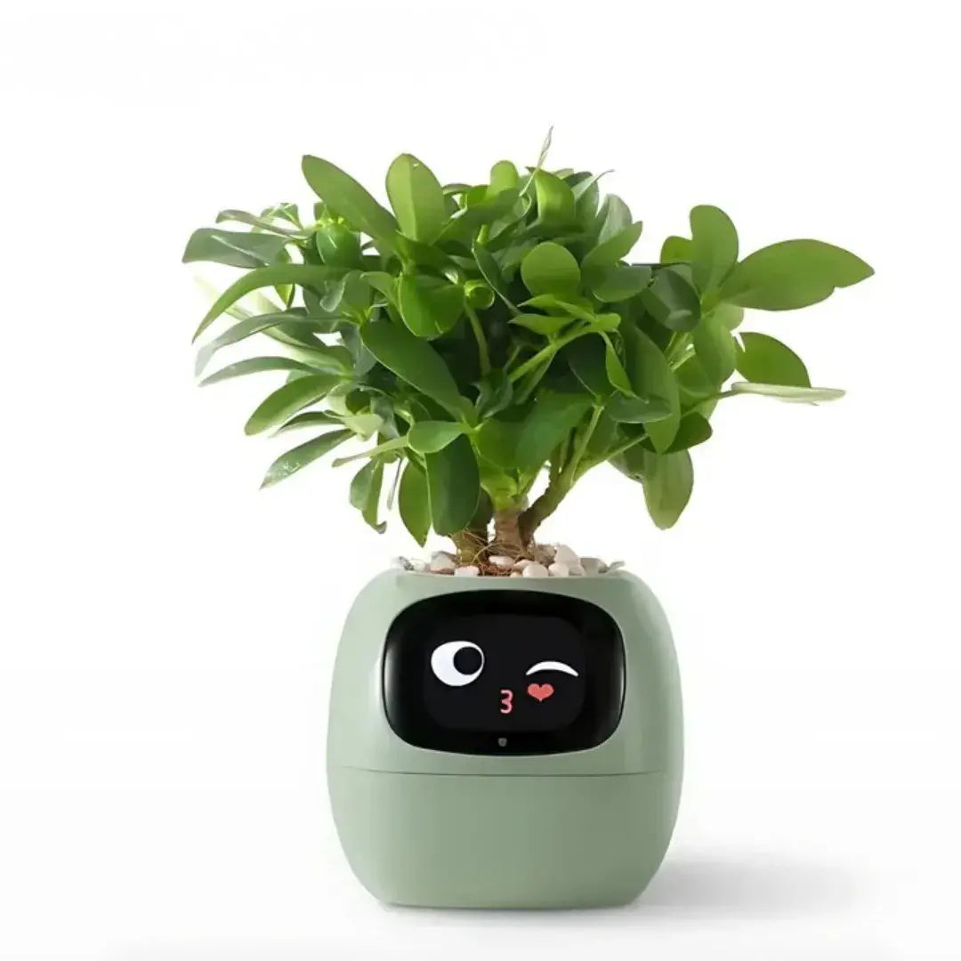 Ivy® - Jouw Smart Planter (AI+)