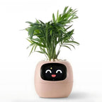 Ivy® - Jouw Smart Planter (AI+)